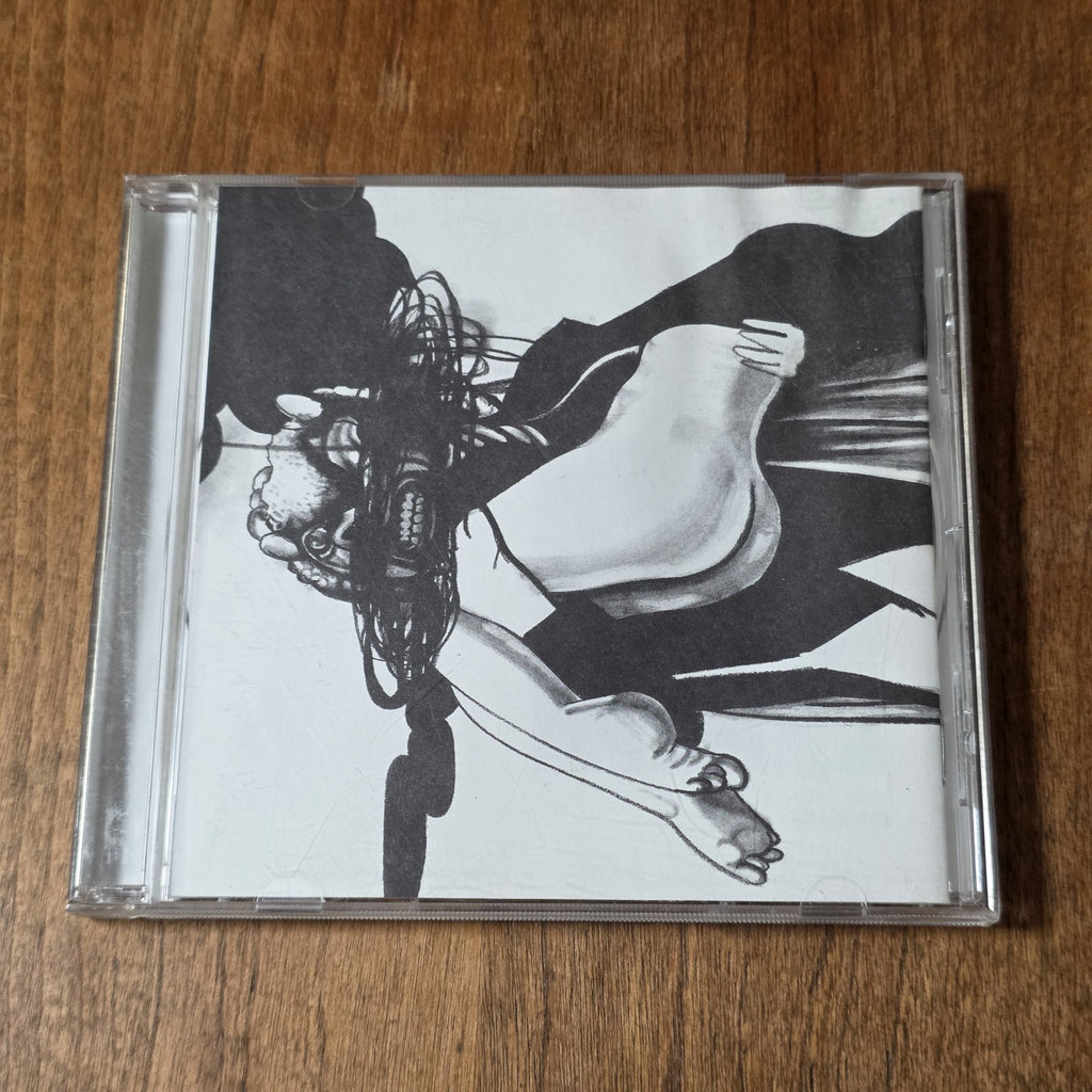Loose Fur - Born Again in the USA CD Album 2006 Alternative Rock Wilco