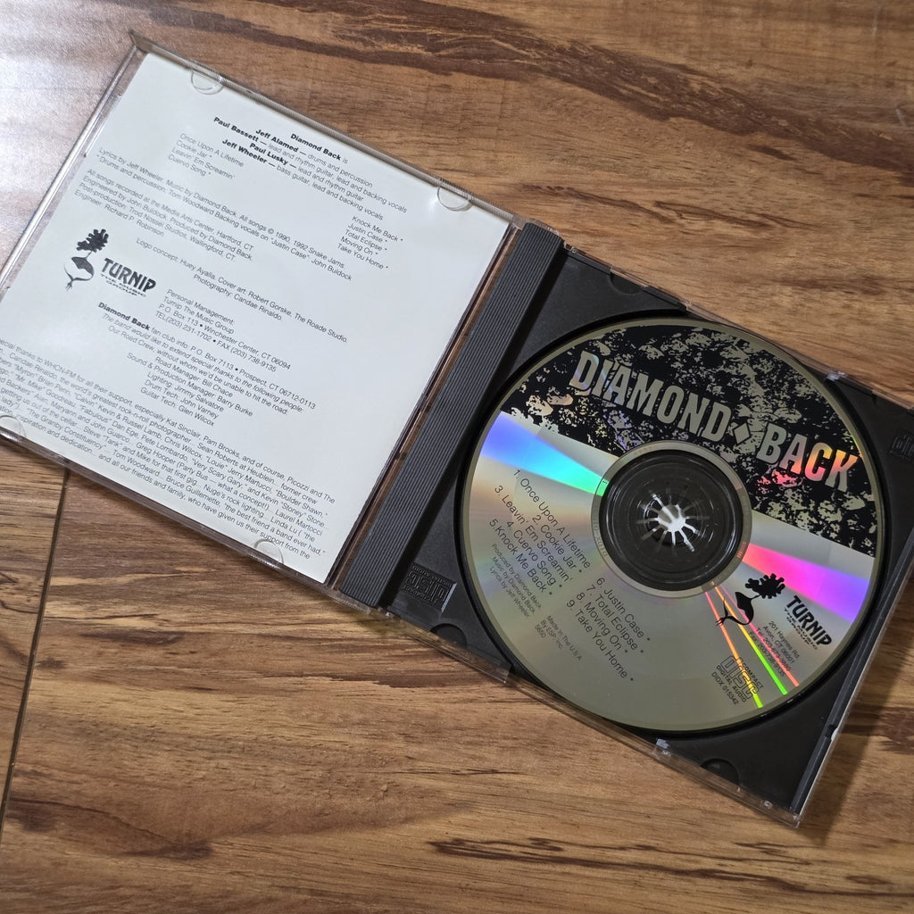 Diamond Back - Self-Titled CD Album AOR Southern Melodic Rock Blue Ruin Rare HTF
