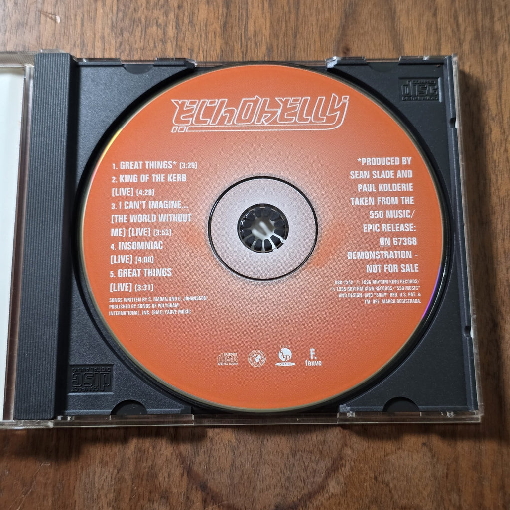 Echobelly - Great Things CD Single 1995 Britpop Promo Signed Autographed HTF