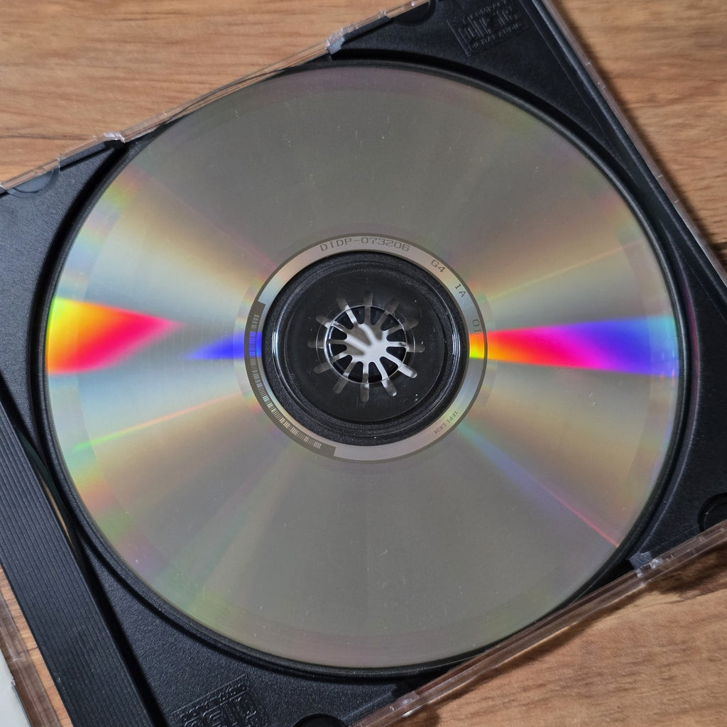 Memphis Minnie - Hoodoo Lady CD Album 1991 Blues