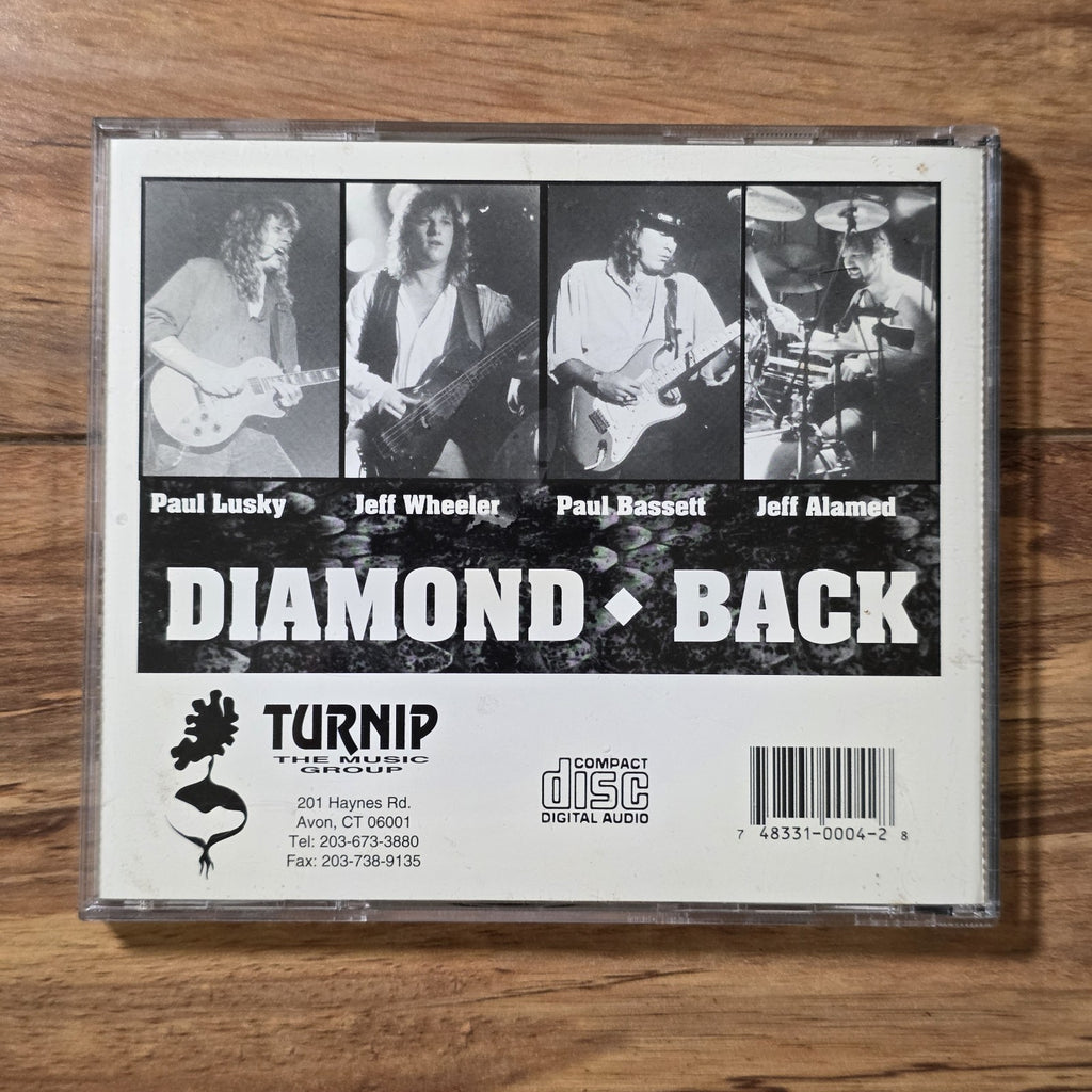 Diamond Back - Self-Titled CD Album AOR Southern Melodic Rock Blue Ruin Rare HTF