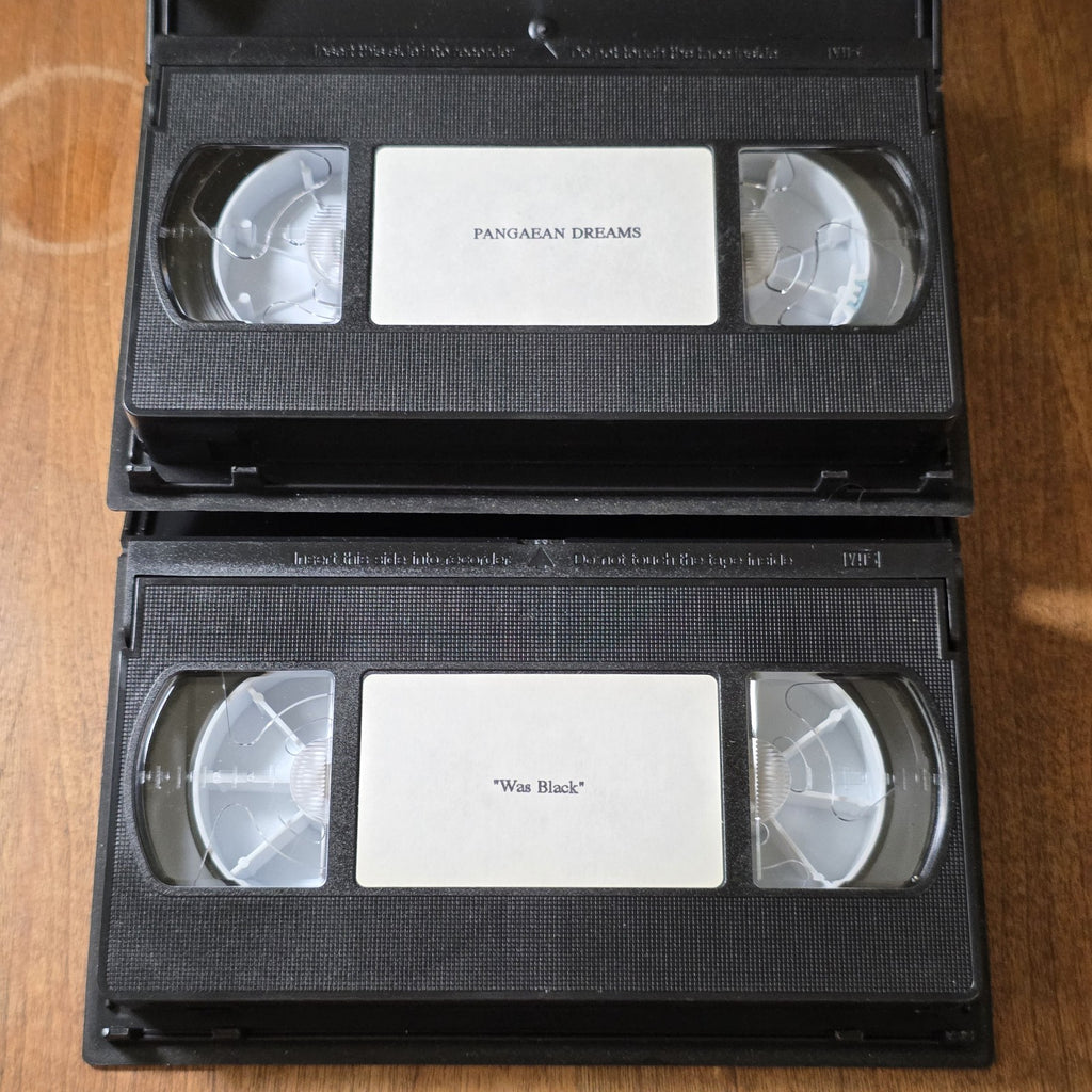 Rachel Rosenthal Was Black Pangaean Dreams VHS Lot 1986 Performance Art Rare HTF
