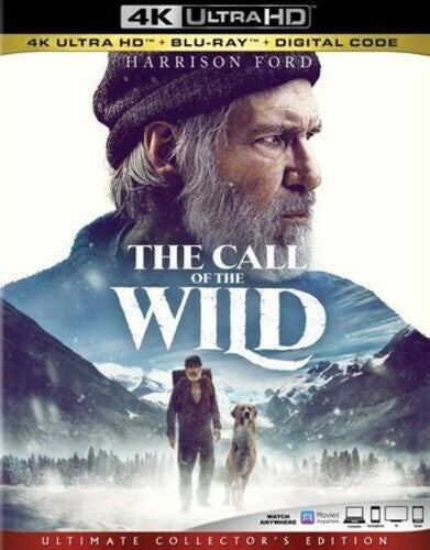 The Call of the Wild 4K UHD 2020 Adventure